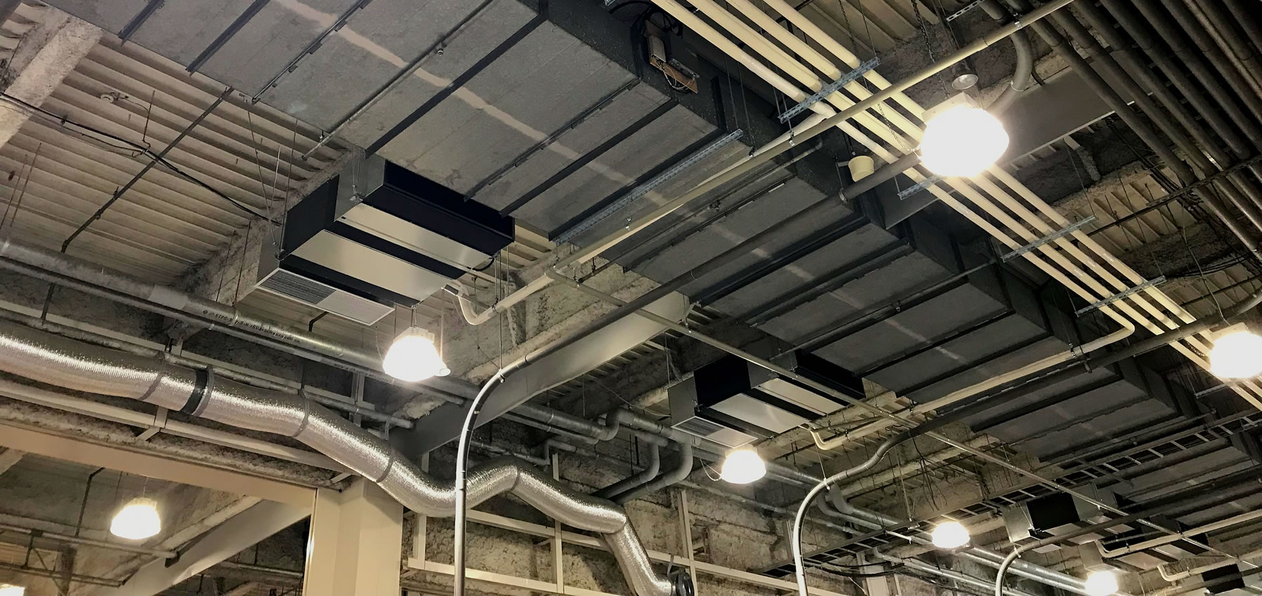 トップイメージ02